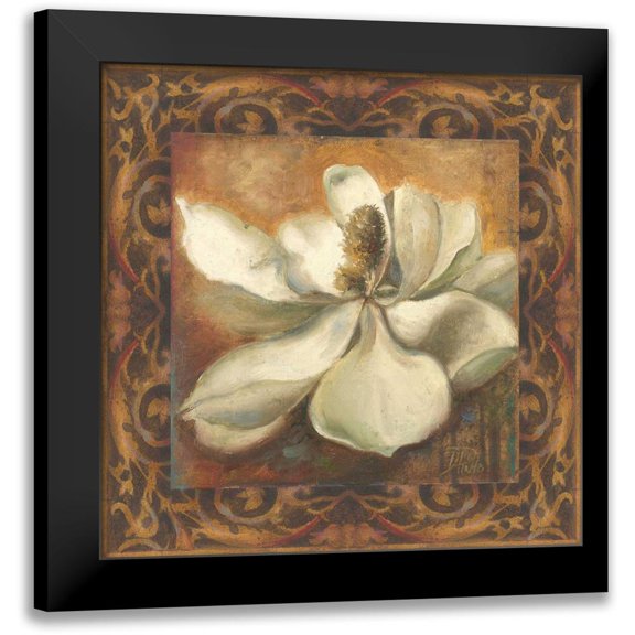 Pinto, Patricia 12x12 Black Modern Framed Museum Art Print Titled - Magnolia