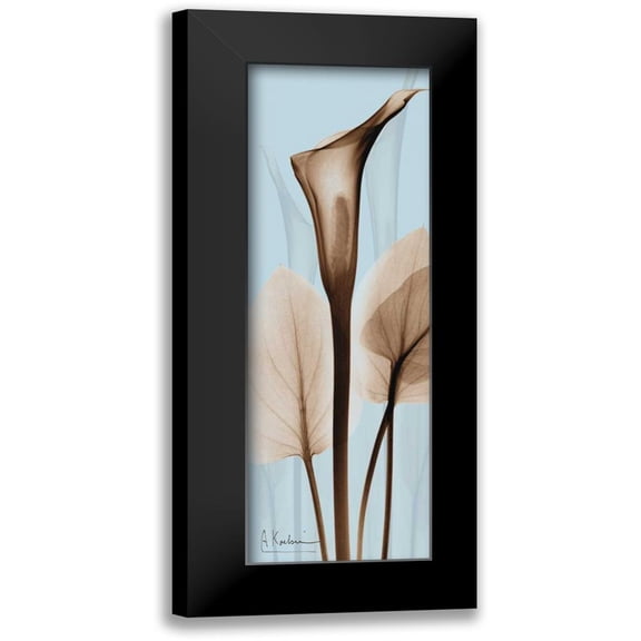 Koetsier, Albert 7x14 Black Modern Framed Museum Art Print Titled - Flower 2