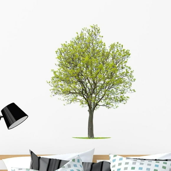Walnut Tree Wall Decal Peel and Stick Graphic (36 in H x 31 in W) WM104413