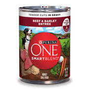 (11 Pack) Purina ONE SmartBlend Tender Cuts Beef & Barley Entree in Gravy Adult Wet Dog Food - 13 oz. Can