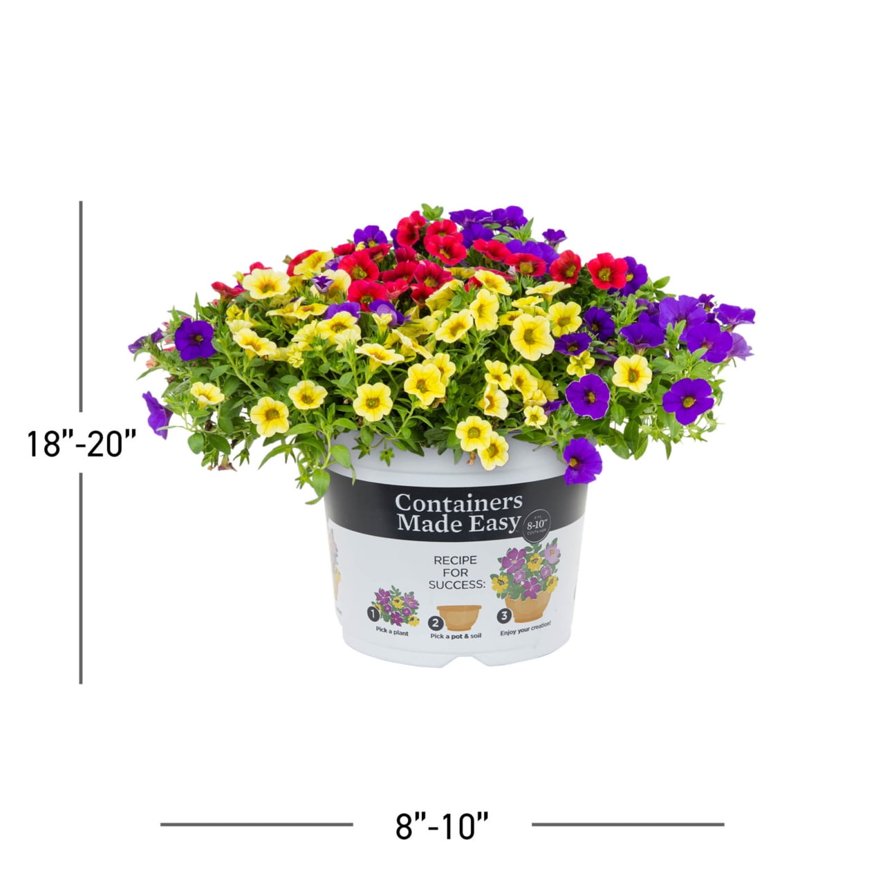 Better Homes & Gardens 3QT Multicolor Calibrachoa Hawaiian Hilo