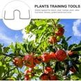thumbnail image 2 of Extractor de Ramas de áRboles Frutales, MáQuina para Herramientas AgríColas, Ciruelo, Herramienta para Doblar Ramas de áNgulo Abierto, Rama de Frutas, 50 Uds., 2 of 5