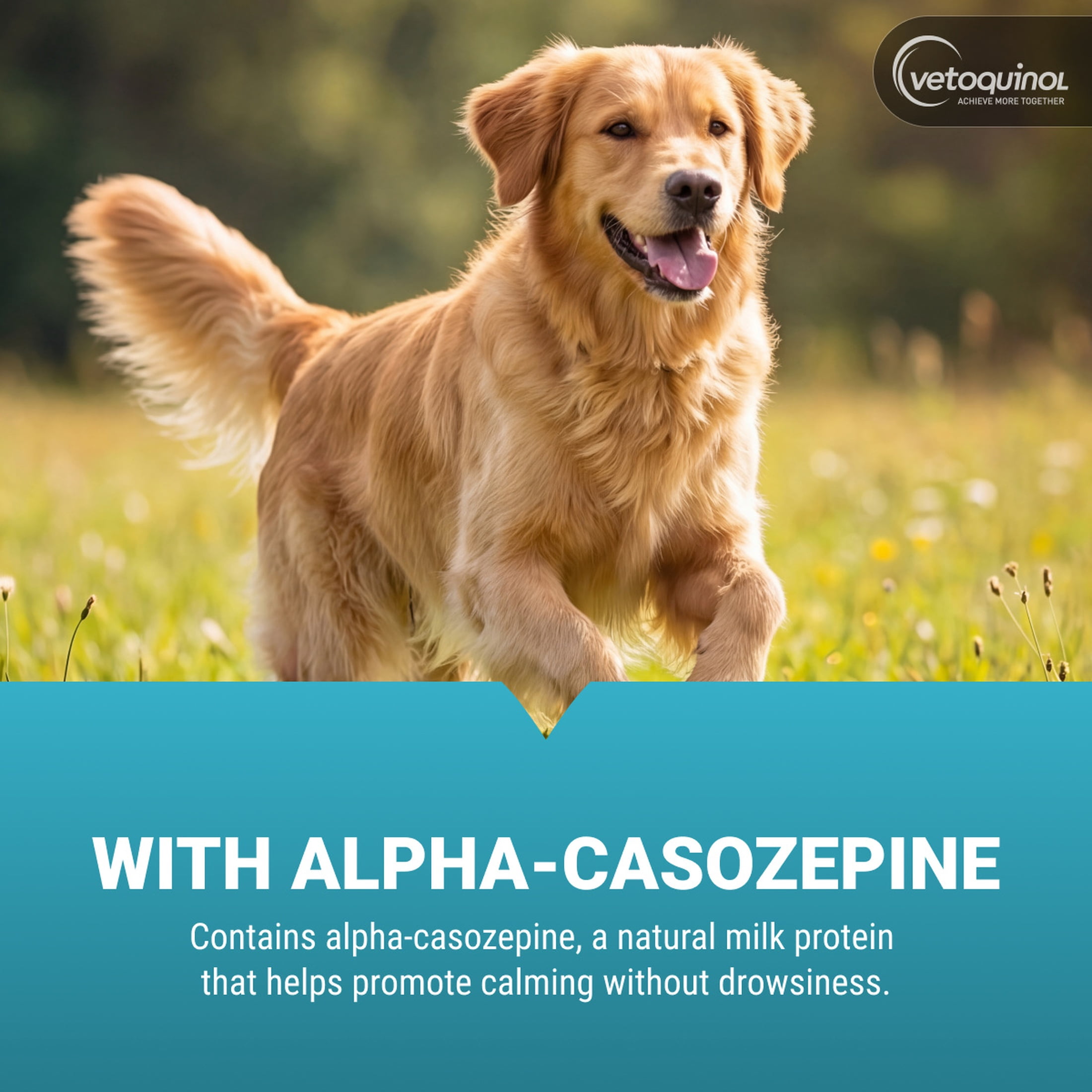 Vetoquinol Zylkene Calming Supplement for Dogs & Cats, Anxiety & Stress Relief, For Large Pets 65lbs+, 30 count