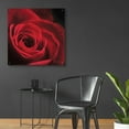 thumbnail image 4 of Epic Art 'The Red Rose I' by Lori Deiter, Acrylic Glass Wall Art, 36"x36", 4 of 8