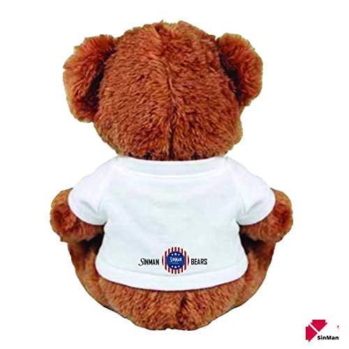 i am sorry teddy