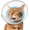 Blue, variant on Soft Cat Cone Collar, Waterproof Mesh Recovery Collar to Prevent Licking & Scratching, Comfortable Alternative to Plastic Elizabethan Collar
