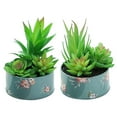 thumbnail image 1 of 2 uds lavabo de estaño simulación suculentas en maceta decoración interior creativa plantas verdes artificiales, 1 of 5