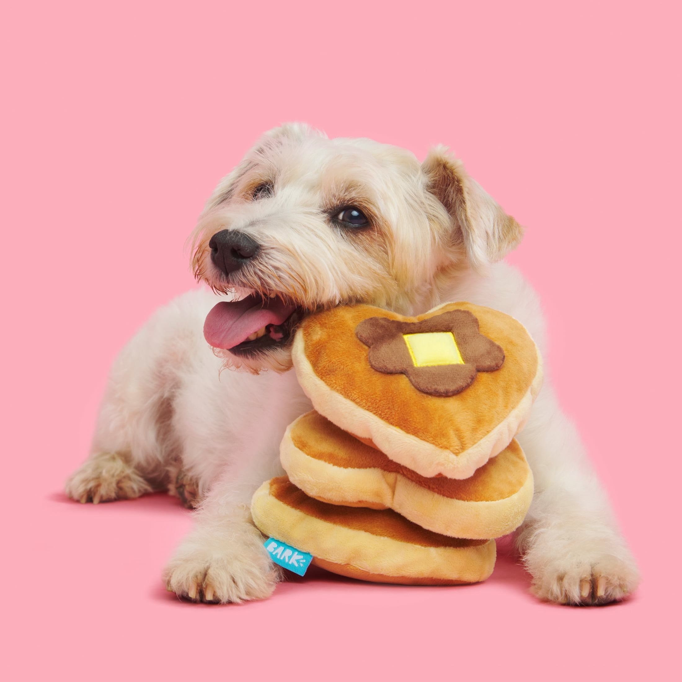 Pancake clearance dog toy