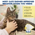 thumbnail image 4 of Oimmal Cat Calming Pheromone Plug Diffuser - 30 Day Starter Kit (48 ml) for Cat Anxiety Relief, Spraying & Scratching, Calming Diffuser for Cat and Kitten, 4 of 10