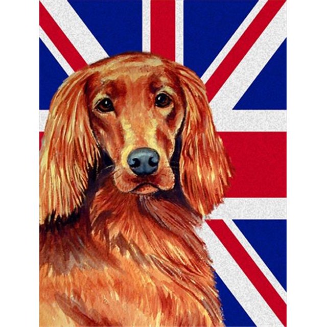 Irish Setter avec Drapeau Britannique English Union Jack Taille Jardin