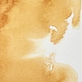 thumbnail image 2 of Pintura Acuarela 5Ml Artist Siena Natural S-1 #552 WINSOR & NEWTON, 2 of 5