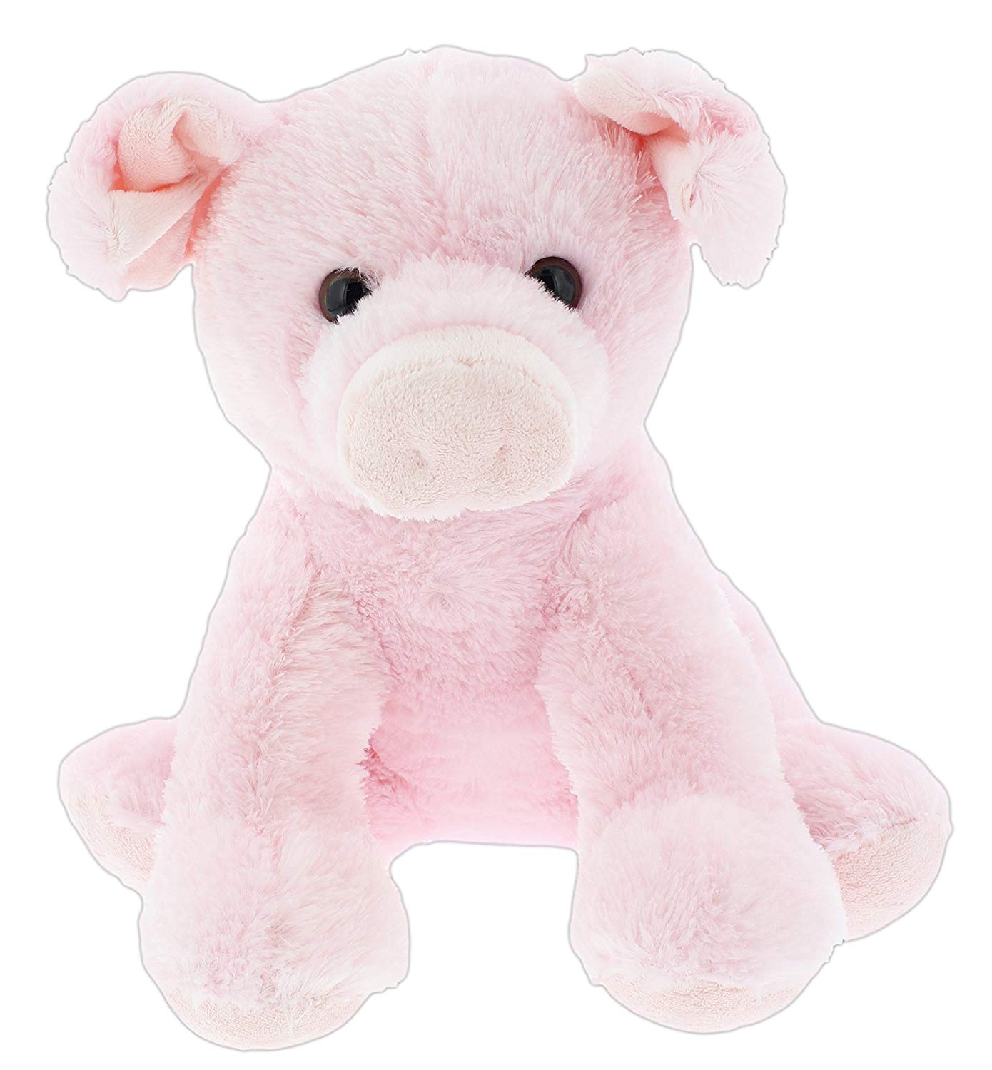pig teddy