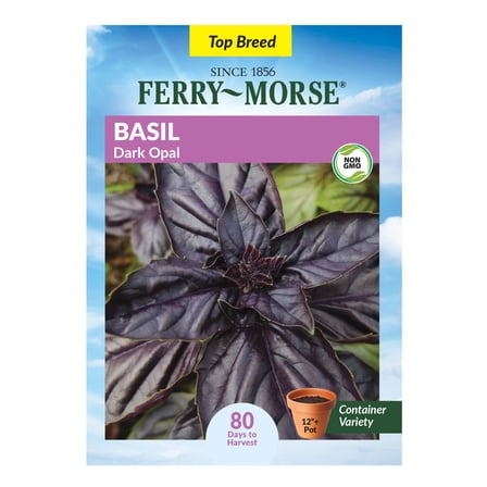 Ferry-Morse 175MG Basil Dark Opal Annual Herb Seeds, Full Sun