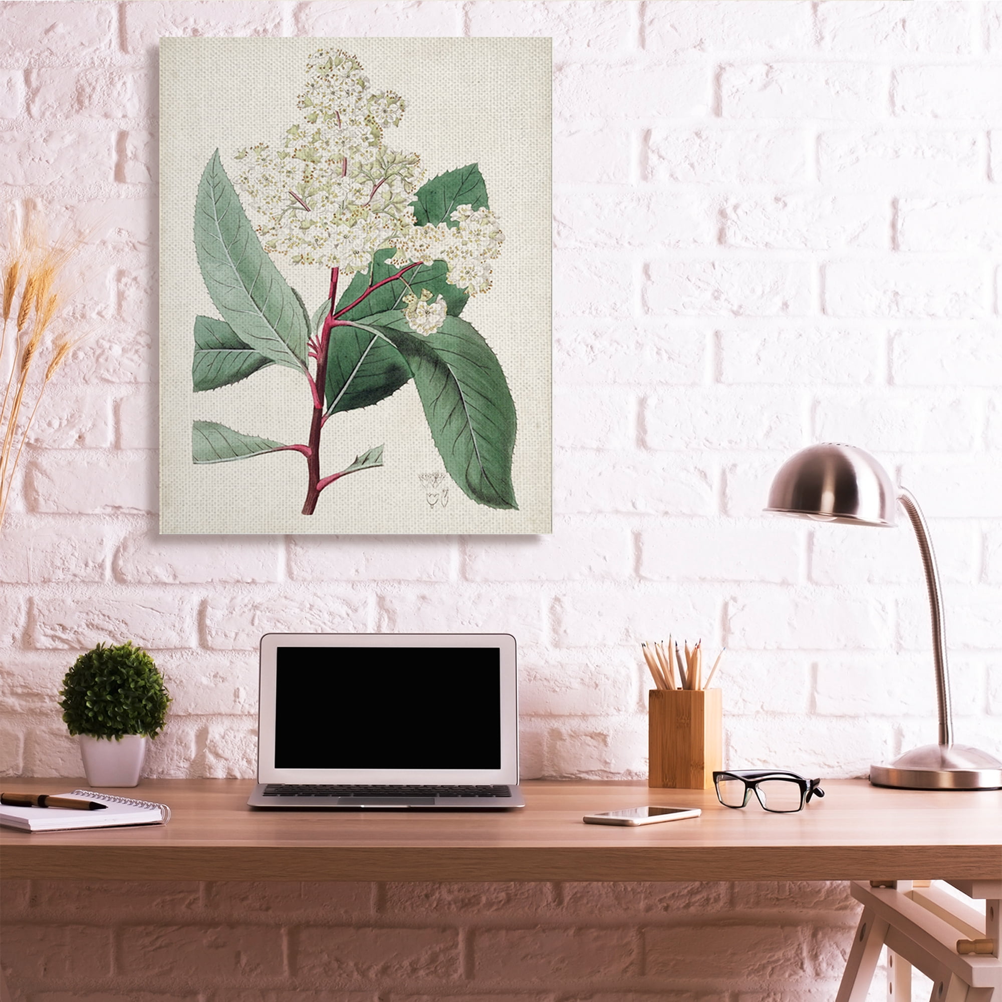 Stupell Industries Vintage Garden Study Red Stem Floral Plant Botanical & Floral Drawing Gallery Wrapped Canvas Art Print Wall Art, 36 x 48