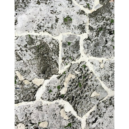 Peel-n-Stick Poster of Rocks Stone Natural Limestone Coquina Shell Poster 24x16 Adhesive