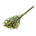 thumbnail image 1 of Bouquet oriental premium, 1 of 4