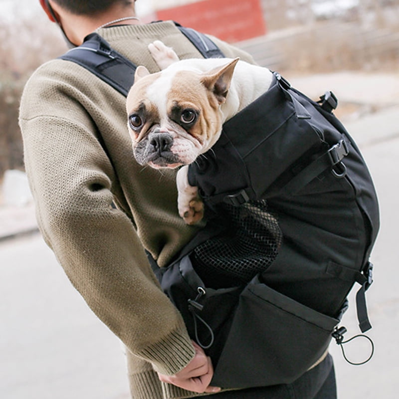 rucksack walk dog