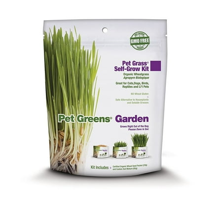 Bell Rock Growers Pet Greens Self-Grow Kit | Organic Wheat Grass | For all