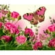 thumbnail image 1 of Taladro Pintura Diamante (DE4414) 5D DIY Flor de mariposa completa Punto de cruz (H038) 30x40cm FLhrweasw Nuevo, 1 of 1