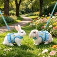thumbnail image 7 of Tuvgenk Small Pet Harness and Leash Set Vest Style Breathable Mesh Rabbit Chest Strap for Guinea Pig Outdoor Walk L Blue, 7 of 7