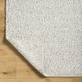 thumbnail image 5 of BoutiqueRugs Priya Traditional, Transitional Area Rug - Light Silver, Pale Slate, Ash - 5' x 7'6", 5 of 8