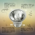 thumbnail image 6 of 75W Heating Light Bulb Aquarium Lamp for Pet Reptile Turtles 110V Light Bulb Only Without Base, 6 of 20