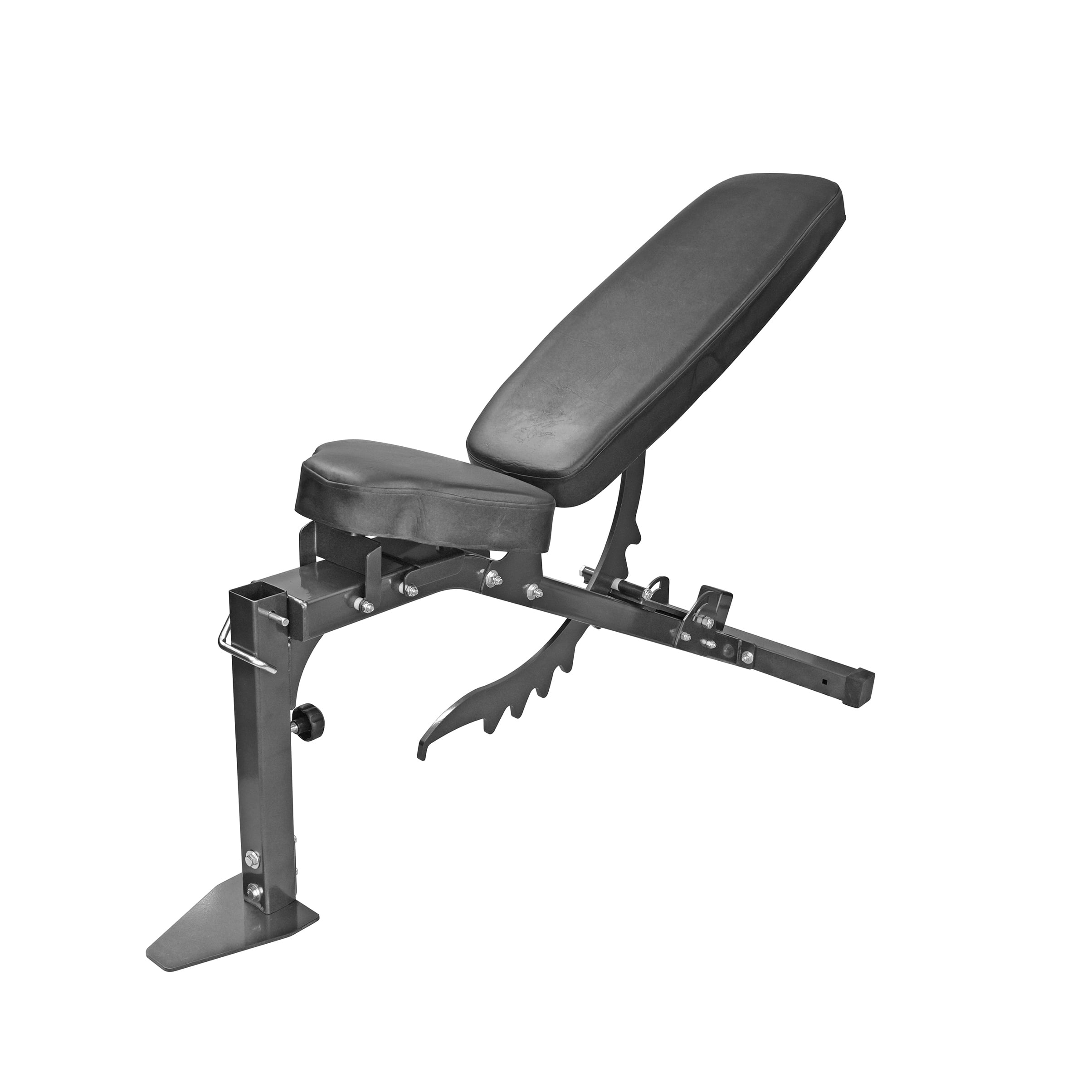 Northern Lights Gym Bench 2025
