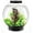 Black, variant on biOrb CLASSIC 30 Aquarium with Standard Light - 8 Gallon, Black
