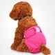 thumbnail image 2 of Pañale para Perro Pantalone anitario Femenino Ropa Interior Linda ,, L cinturo 12 "- 22" - roja Rose Salvador Pantalones fisiológicos para perros, 2 of 10