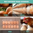 thumbnail image 5 of CZQ 60 Packs 12 Count Clear Egg Cartons, 2 * 6 Grids Design, Perfect for Family, Farm, Markets, Display(Large), 5 of 6