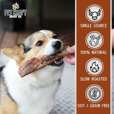 Pet Craft Supply Beef Rib Bones All Natural Healthy Dog Chews Treats for Aggressive Chewers Long Lasting Rawhide Free, Premium Grade Slow Roasted for Puppies Small Medium Dogs, Pack of 10