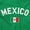 Irish Green, variant on Mexico Country Flag Soccer Fan Pride Unisex Plus Fleece Graphic Hoodie Brisco Brands 4X