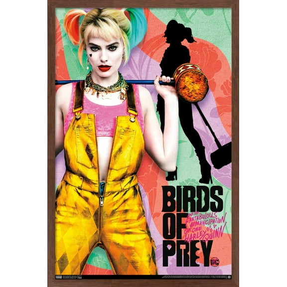 DC Comics Movie - Birds of Prey - Emancipation Wall Poster, 14.725" x 22.375", Framed