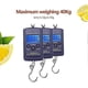 thumbnail image 5 of 40Kg LCD Digital Electronic Scale Portable Electronic Fishing Scale Portable Digital Scale for Trave, 5 of 5