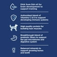 thumbnail image 4 of Hill's Science Diet Chicken & Barley Wet Dog Food for Puppies, 13oz Can 12pk, 4 of 7