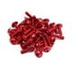 thumbnail image 1 of 40Pcs Tornillos M6 X 20 Aleación Aluminio Rojo Motocicleta Pernos de Cabeza Hexagonal, 1 of 1