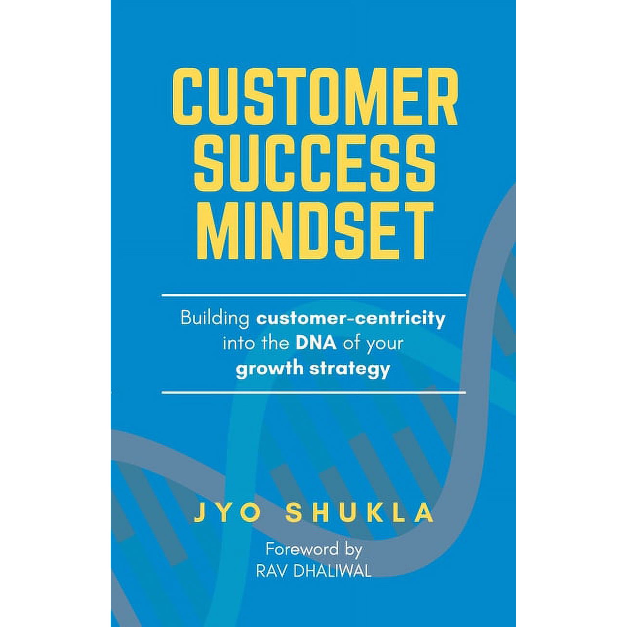 Customer Success Mindset (Paperback)