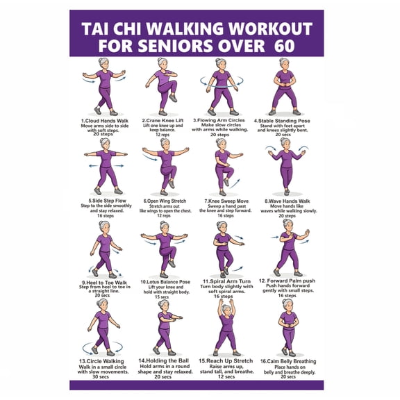 FAHZON Tai Chi Chair Exercise Poster for Seniors, 16 Illustrated Poses Fitness Wall Chart, 60x40cm Balance & Flexibility Workout Guide for Over 60, Wall Hanging Decor with Black Rod,01