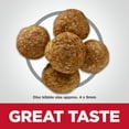thumbnail image 6 of Hill's Science Diet Perfect Digestion Small Bites Whole Grain Chicken Dry Senior Dog Food, 12lb Bag, 6 of 8