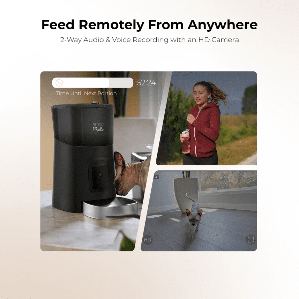 Penthouse Paws Smart HD Pet Feeder, 6L Dry Food Capacity, 1080p Camera, 2-Way Audio, Scheduled Meals,  Backup Power, Easy to clean, Anti-Jam Design for Cat & Dog, Black/ Stainless Steel