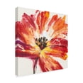 thumbnail image 2 of Trademark Fine Art 'Fleur Rouge I' Canvas Art by Tim OToole, 2 of 4