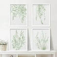 thumbnail image 2 of PixonSign Framed Wall Art Pastel Green Forest Leaf Variety Print, Set of 4 Nature Wilderness Wall Decor Prints, Botanical Floral Leaves Wall Décor, Rustic Classic Home Artwork - 8"x10" White, 2 of 5