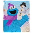thumbnail image 2 of Sesame Street Furry Friends Forever Blanket, 50'x60' Cookie Monster Snowman Silky Touch Sherpa Back Super Soft Throw Blanket, 2 of 5