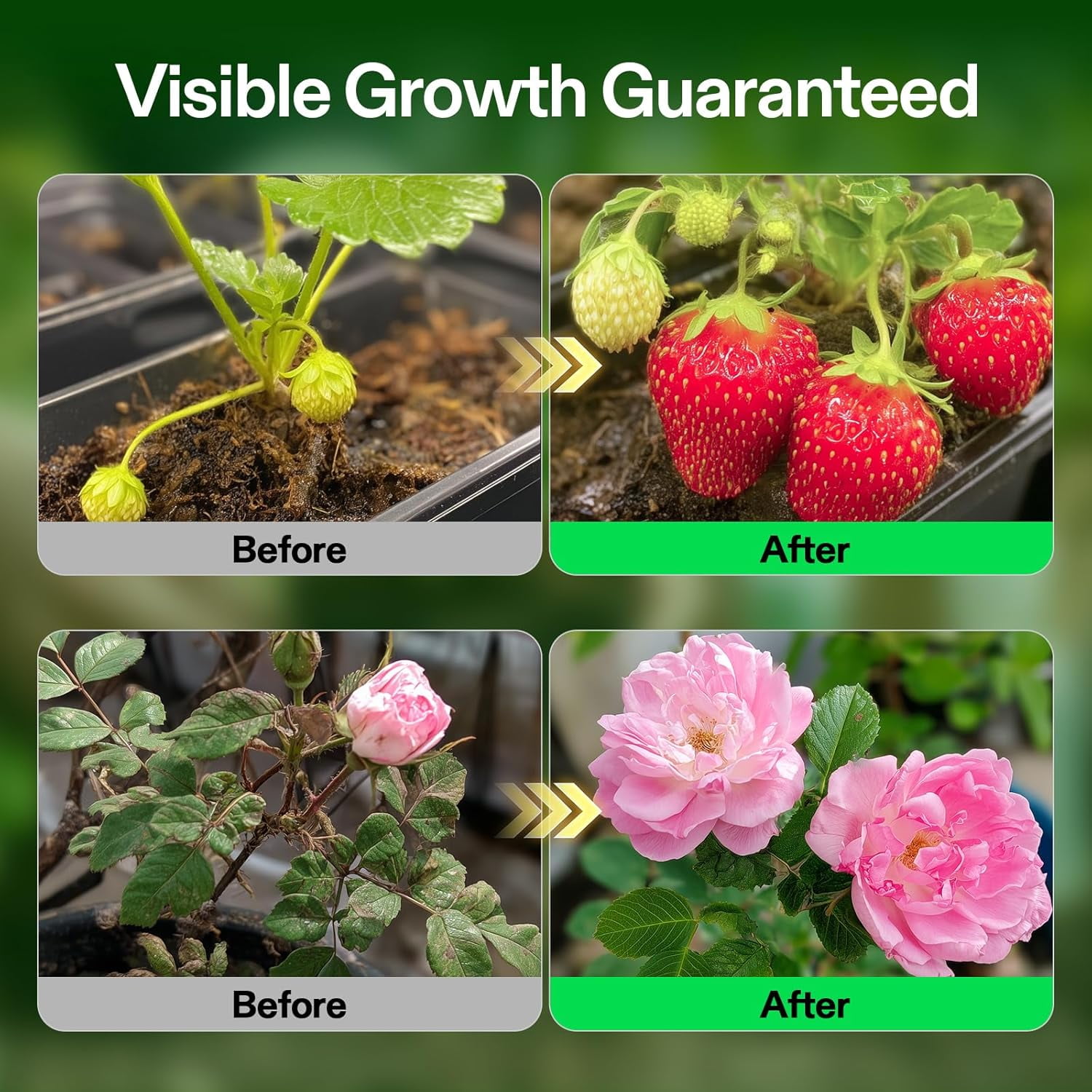 VIVOSUN Liquid Nutrients Base A & B Bundle, Grow Big Hydroponic Fertilizer, Supports Vegetative and Flowering Stages for Outdoor, Indoor Plants, Best Plant Food, Set of Quarts