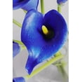 thumbnail image 4 of Mini Artificial Calla Lily 10 Stem Bridal Bouquets Artificial Latex Real Touch Flowers for Home Party Decor (Teal Blue White), 4 of 5