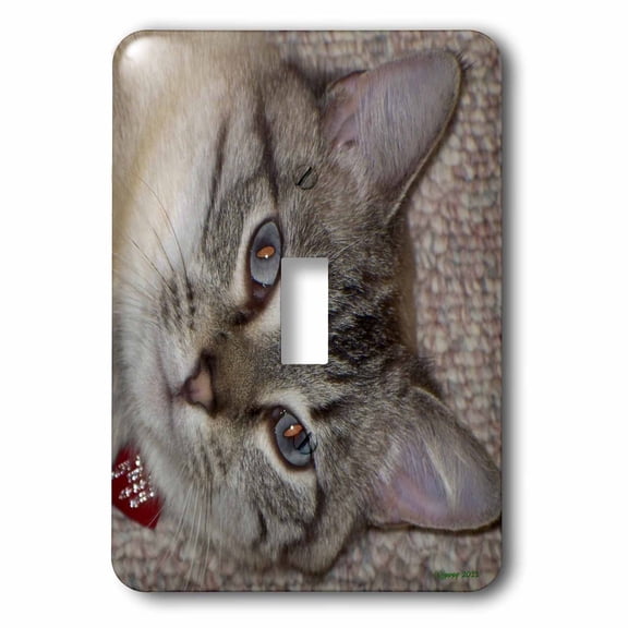 3dRose, Siamese, single toggle switch