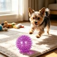 thumbnail image 4 of Squeaky Spiky Dog Ball Toy Floating Bouncy Dental Teeth Cleaning Chew Ball for Small Medium Dogs Interactive Play Ball Toy,1pack,Purple, 4 of 4