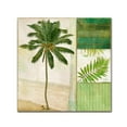 thumbnail image 2 of Trademark Fine Art "Paradise II" Canvas Art by Color Bakery, 2 of 2