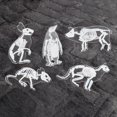 thumbnail image 2 of 6 uds., Pájaro, pingüino, cerdo, bolsa, insignia, de Animal, alfileres, broche de resina acrílica, broche de resina acrílica, broche de resi Fernando Broche Resina Transparente, 2 of 8