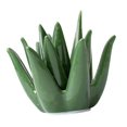 thumbnail image 2 of Soporte de anillo de cerámica de Aloe, plato de anillo, regalo de compromiso, soporte de joyería de boda, organizador, soporte de exhibición para, 2 of 8